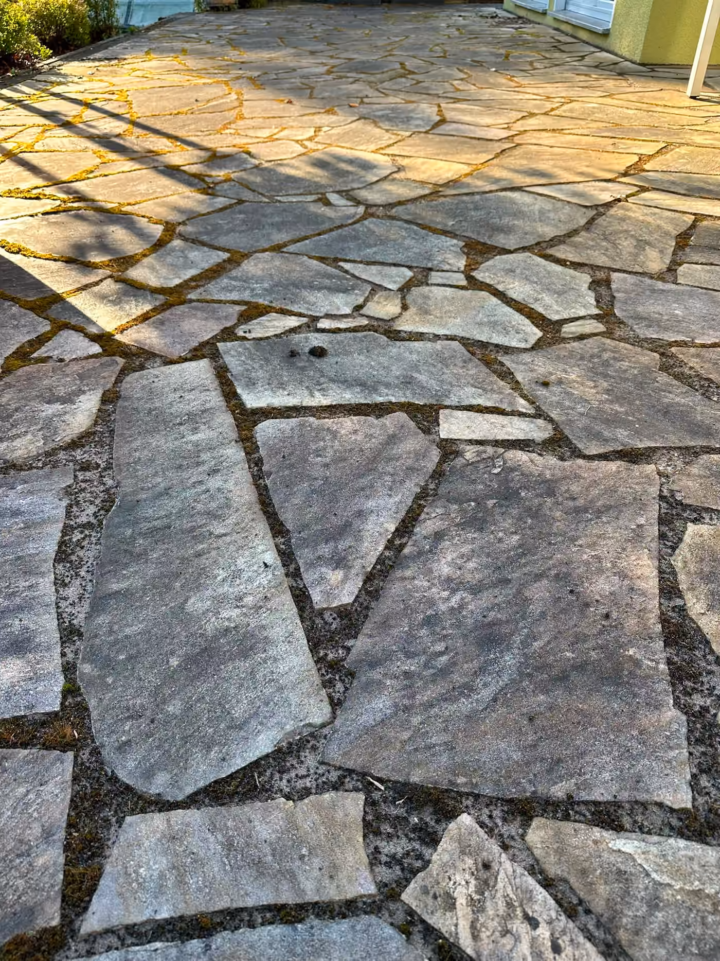 Veralgte und vermooste Naturstein-Terrasse aus Polygonalplatten vor der Reinigung